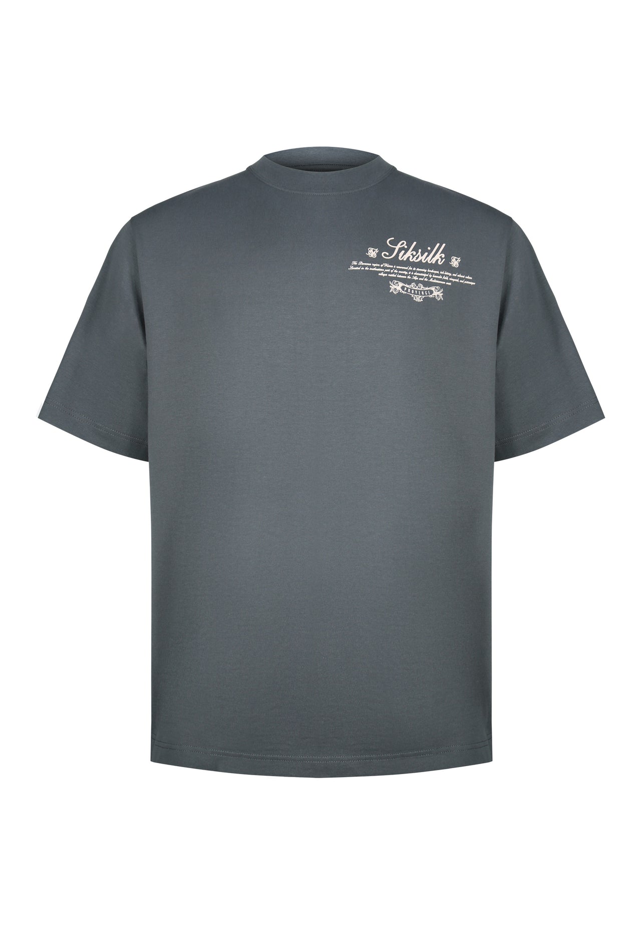 Grey Graphic T-Shirt (5)