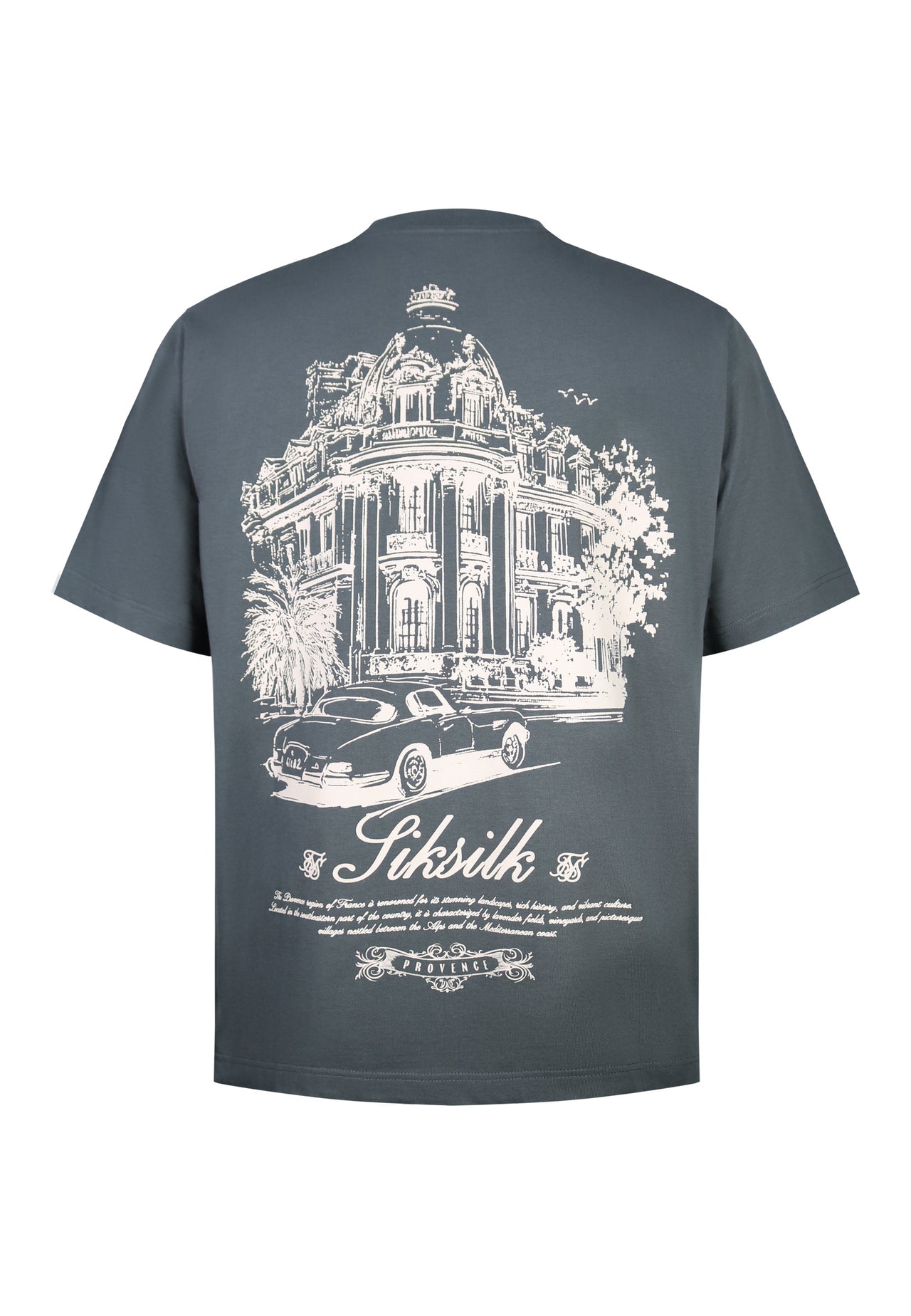 Grey Graphic T-Shirt (6)
