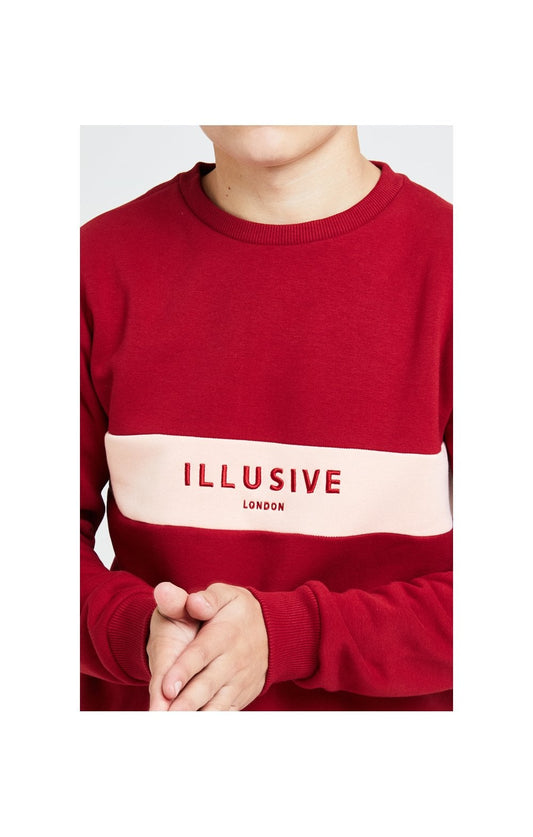 Illusive London Divergence Crew Sweater - Red & Pink