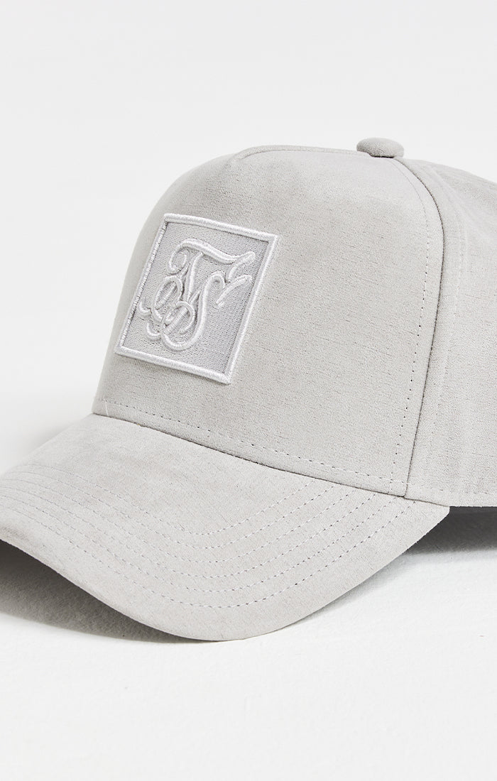 Grey Prestige Patch Sueded Trucker Cap (1)
